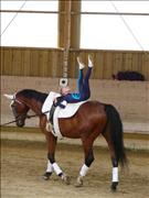 voltitag 2009 _CD1 121